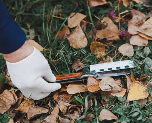 Фото СКР по Красноярскому краю и Хакасии